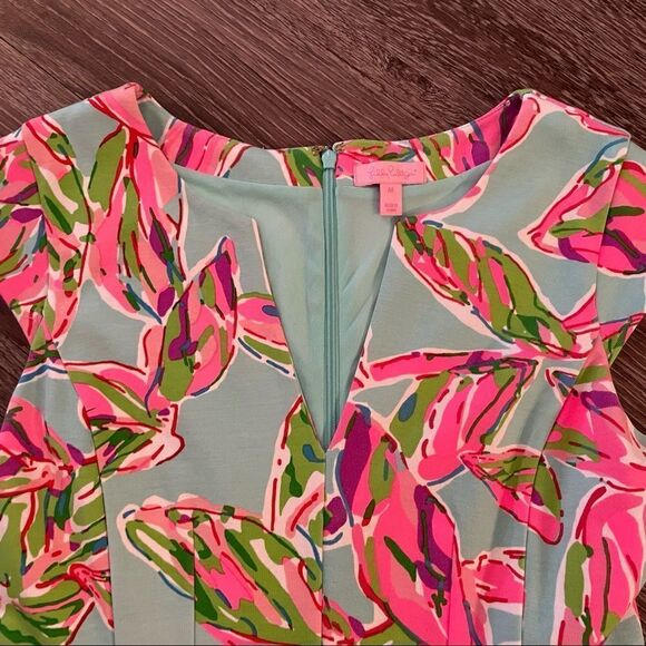 Lilly Pullitzer dress - Picture 5 of 11